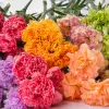 Colorful artificial carnation bouquets, living room decorations, wedding ornaments, and everlasting flower gift boxes Application Scenario